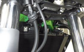 KAWASAKI Z250 Gen.2 2024 EX250Y