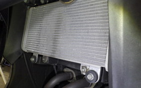 KAWASAKI NINJA 250 2020 EX250L