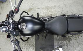 OTHER +ENFIELD ﾒﾃｵ350 2024