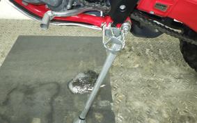 GASGAS EC 250