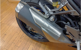 KAWASAKI Ninja 250 SE EX250L