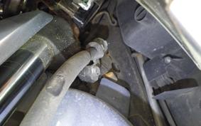 HONDA LEAD 110 2026 JF19