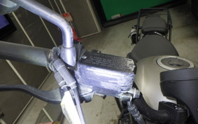 HONDA REBEL 250 MC49
