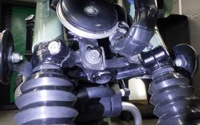 HONDA CT125-2 2024 JA65