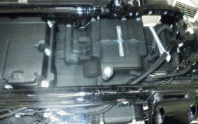 HARLEY FXLRST1920 2025