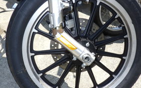 HARLEY L1200LI 2010