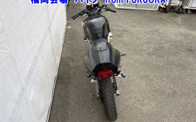 OTHER NS-1