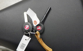 HONDA CT125-2 2024 JA65