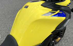 SUZUKI DL650 ( V-Strom 650 ) 2023 C733M