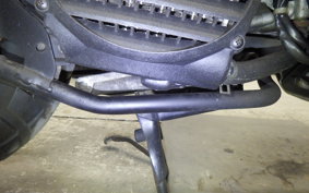 HONDA ZOOMER 2011 AF58