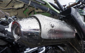 KAWASAKI KLX250 Gen.2 LX250S