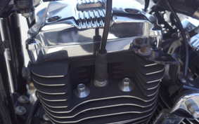 HARLEY XL1200C 2007 CT3