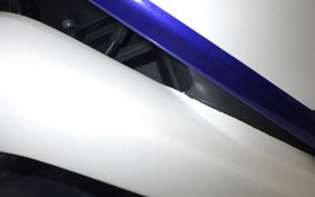 YAMAHA YZF-R25 2006 RG10J