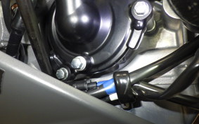 KAWASAKI NINJA ZX-6R A 2025 ZX636J