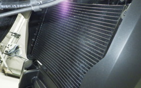 HARLEY RH975S 2025