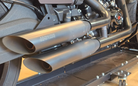 HARLEY HARLEY FXDR114 2018 YVK