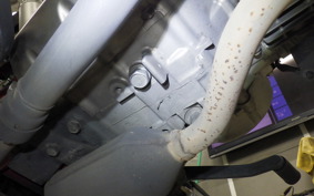 HONDA MONKEY 125 ABS 2024 JB02