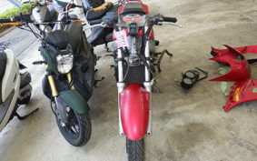 KAWASAKI ZZ-R250 EX250H