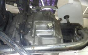 HONDA C50 SUPER CUB C50