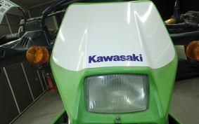 KAWASAKI KDX220SR DX220B