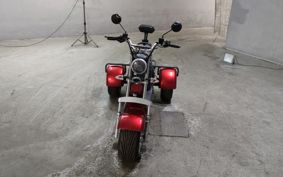 OTHER DENDOU TRIKE  ..