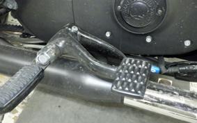HARLEY XL883N 2009