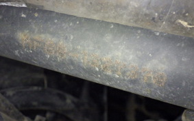 HONDA DIO Gen.6 AF68