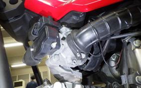 HONDA CT125 HUNTER CUB 2025 JA55