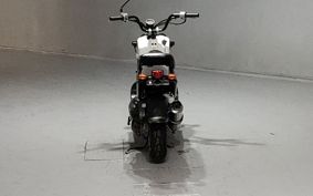 HONDA ZUMAR AF58