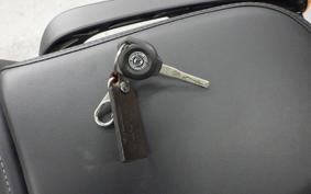 OTHER +ENFIELD ﾒﾃｵ350 2024