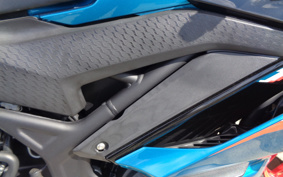 YAMAHA YZF-R25 ABS RG43J