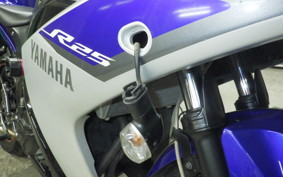 YAMAHA YZF-R25 2023 RG10J