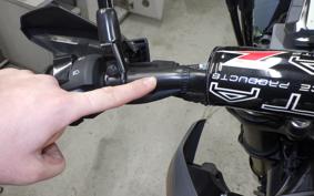 HONDA CRF250L 2009 MD47