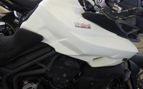 TRIUMPH TIGER800(ショルイナ