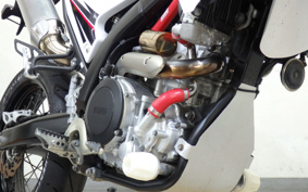 YAMAHA WR250X DG15J