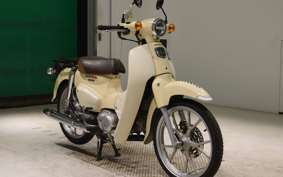 HONDA C110 SUPER CUB 2010 JA59
