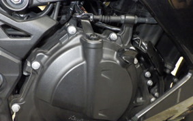 KAWASAKI NINJA 250 2 2019 EX250P