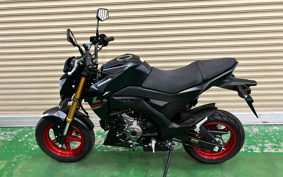 KAWASAKI Z125 PRO BR125H