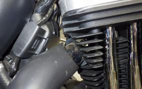 HARLEY XL883N 2020