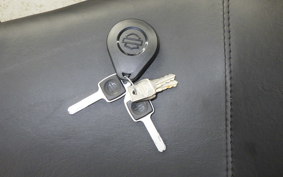 HARLEY FXLRST1920 2025