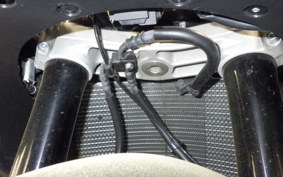 KAWASAKI ZX 10 NINJA ABS 2024 ZXT02L