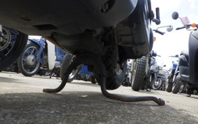 HONDA DIO Z4 GEN 2 AF63
