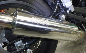 HARLEY X500 2024