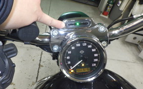 OTHER +HD. XL1200C-I 2018