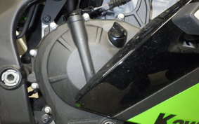 KAWASAKI ZX-4RR 2023 ZX400P