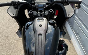 HARLEY FXLRST 2024 YXZ