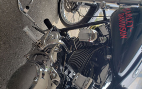 HARLEY FXSTC1340 2008 JL5
