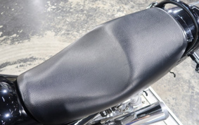 KAWASAKI ZEPHYR750RS 2024 ...