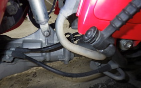 HONDA GYRO CANOPY 2024 TA03