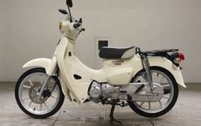 HONDA C110 SUPER CUB 2012 JA59